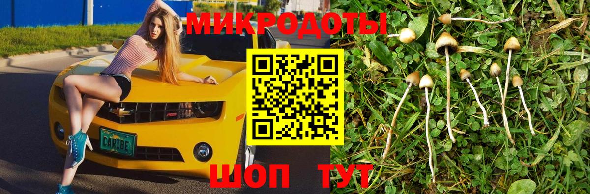 Галлюциногенные грибы Cubensis  хочу наркоту  Вход с VPN  Владимир  Псилоцибиновые грибы мухоморы 